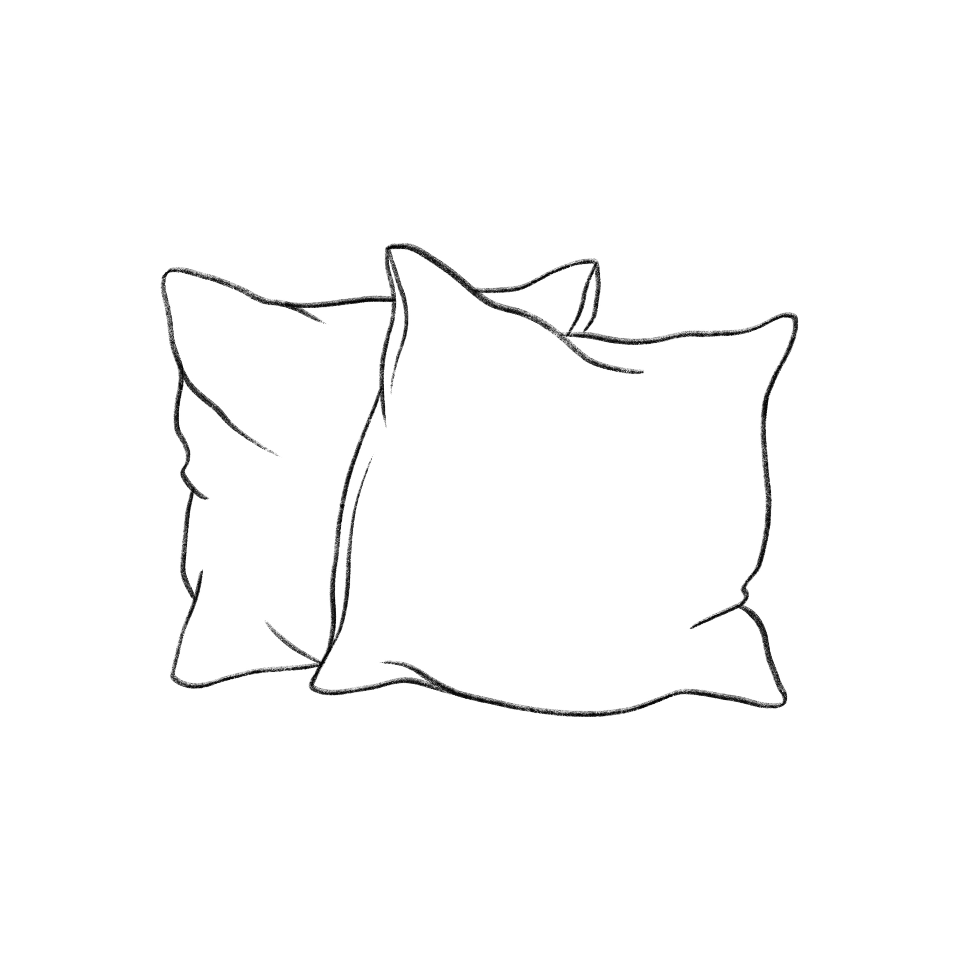 Pillow / Cushion